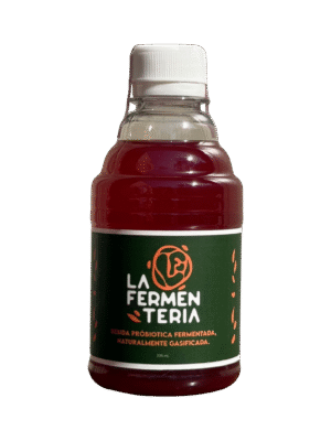 Ciruela Kombucha Artesanal de Ciruela