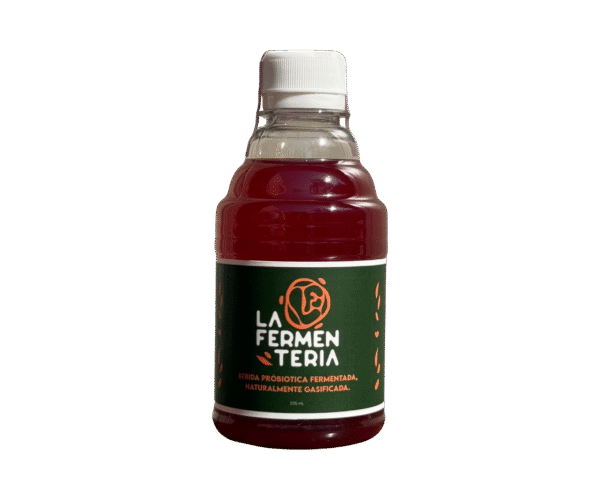 Kombucha Artesanal de Ciruela