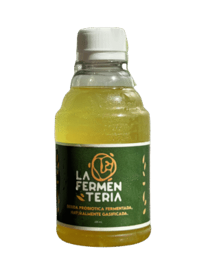 Kombucha Artesanal de Manzana Verde y Jengibre