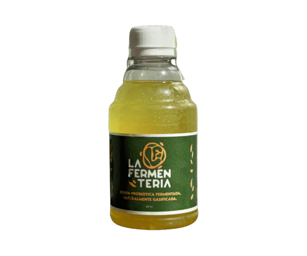 Manzana Verde y Jengibre Kombucha Artesanal de Manzana Verde y Jengibre
