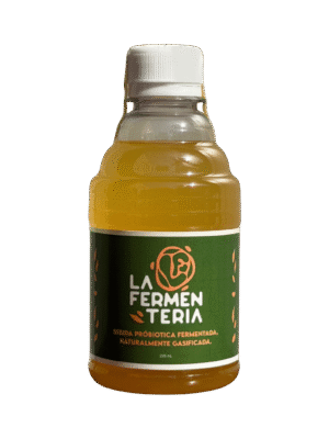 Kombucha Artesanal de Mburucuyá