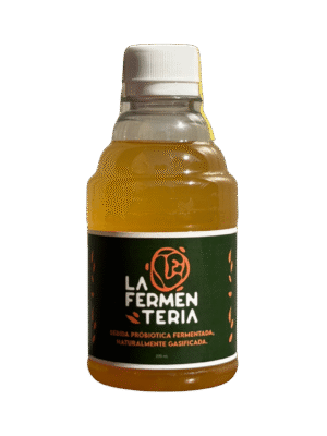 Mburucuya y Manzana Verde Kombucha Artesanal de Mburucuyá y Manzana Verde