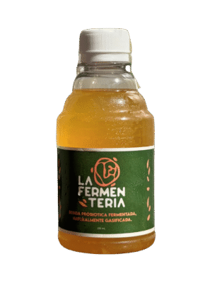 Naranja Kombucha Artesanal de Naranja