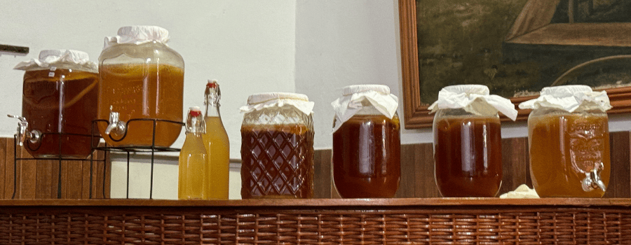 LaFermenteria Slider 900x350